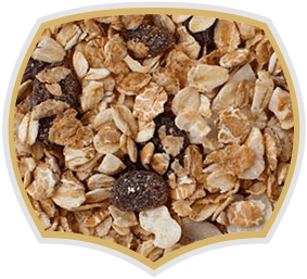 Muesli with fruits, 20% - Gama Food