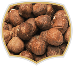 Roasted hazelnuts, high quality nuts. Gama Food