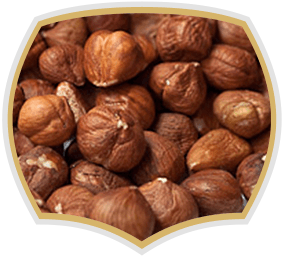 Raw hazelnuts for bakaries, Gama Food