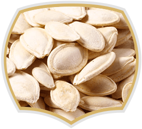 Roasted pumpkin seeds. Nuts from Gama Food