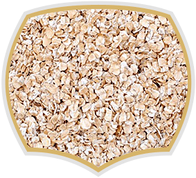 Oat flakes fine for food industry. Gama Food