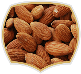 Almonds, raw nuts. Gama Food