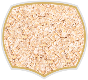 Oat bran for muesli. Gama Food