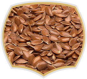 Linseed with high quality. Gama food