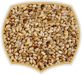 Sesame seeds for food industry, Gama Food