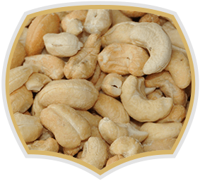 Cashew, raw nuts. Gama Food