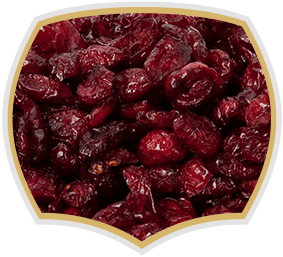 Dried cranberry, natural product from Gama Food