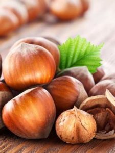 Hazelnuts for healthy body. Gama Food